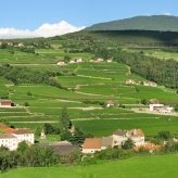 thumbs 15 Impressioni