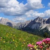 thumbs 7 Impressioni