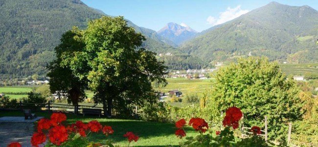 ausblick osten